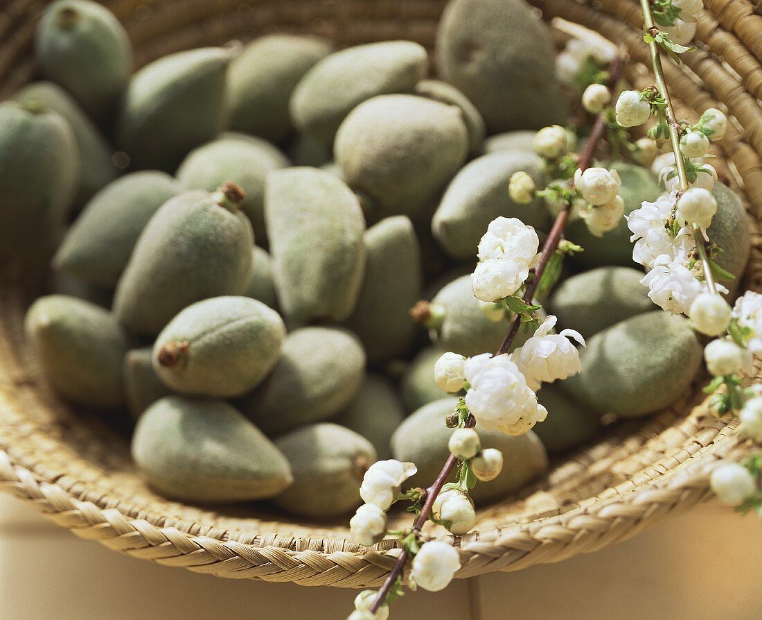 Almonds in basket with sprigs of almond blossom