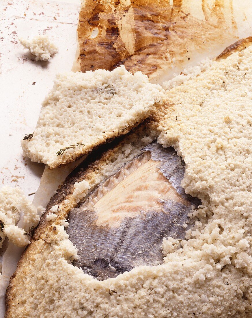Sea bream in salt crust on baking paper
