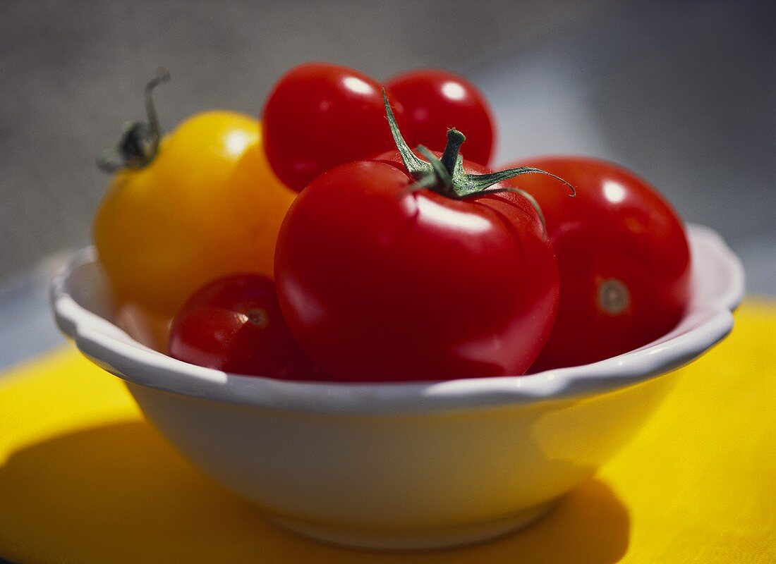 Various tomatoes in white dish