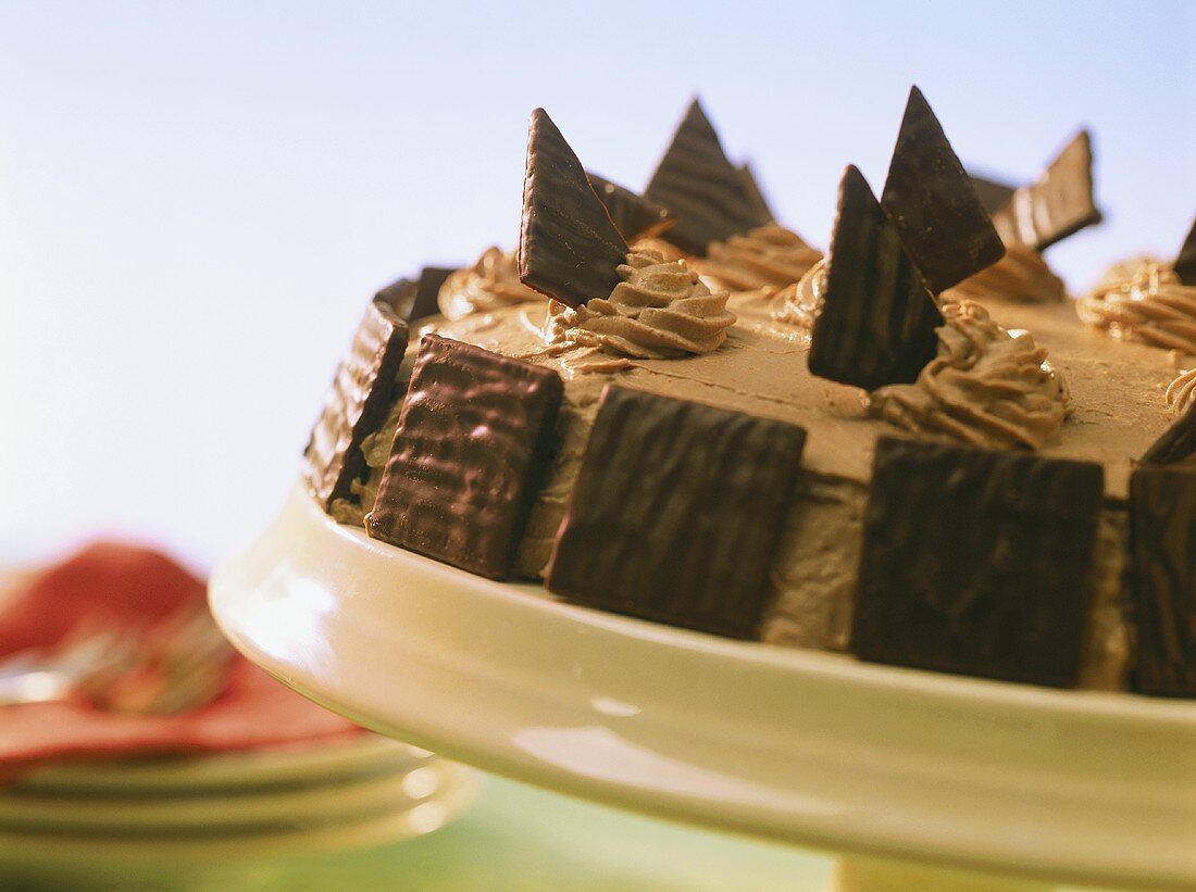 Chocolate cream gateau with chocolate biscuits