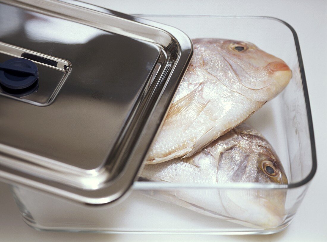 Keeping fish fresh in a glass container
