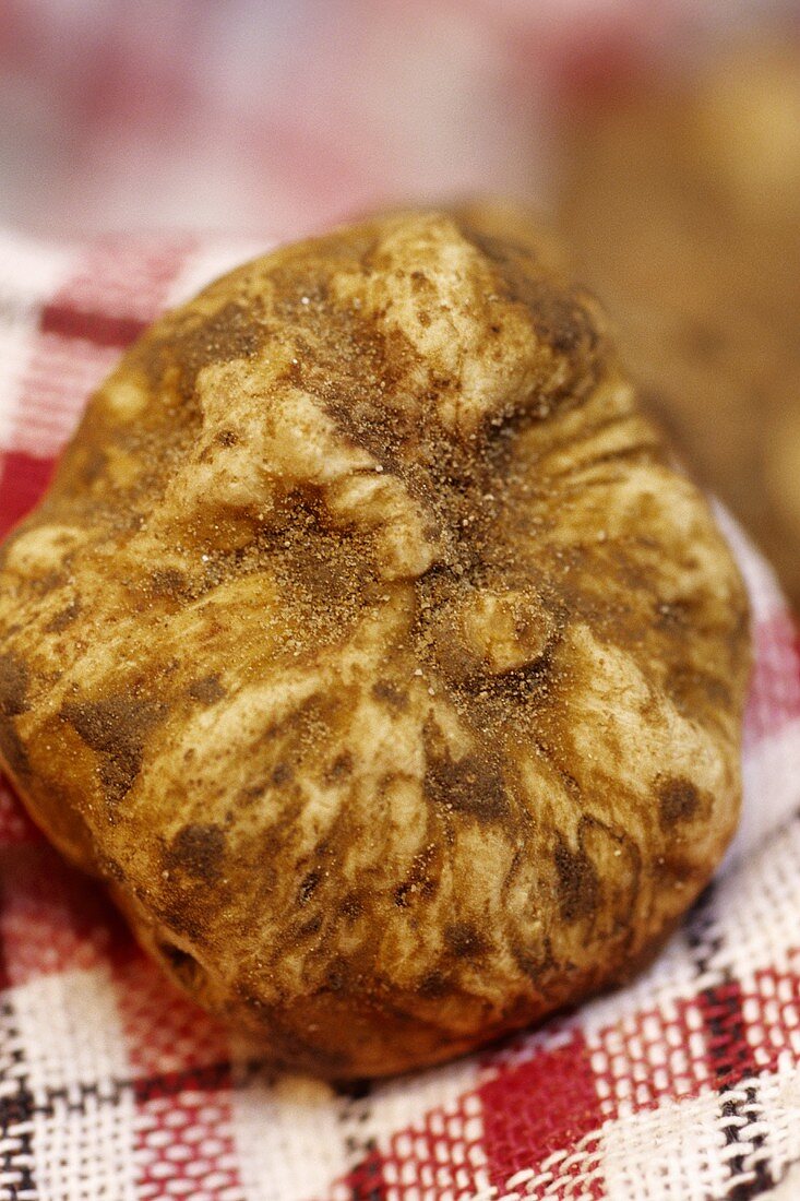 White truffles on checked cloth