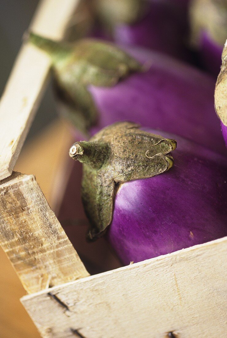 Aubergines in crate