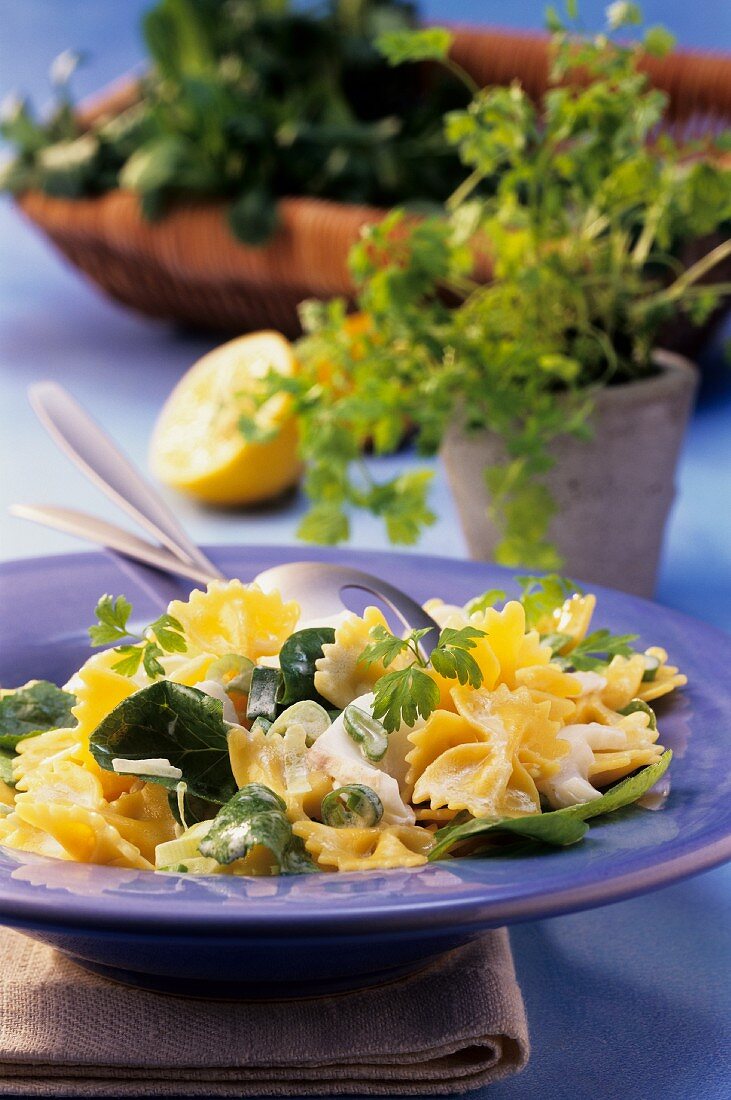 Nudelsalat mit Fisch und Spinat; frische Kräuter