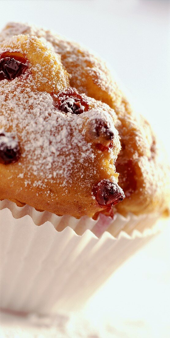 Blackcurrant muffin with icing sugar