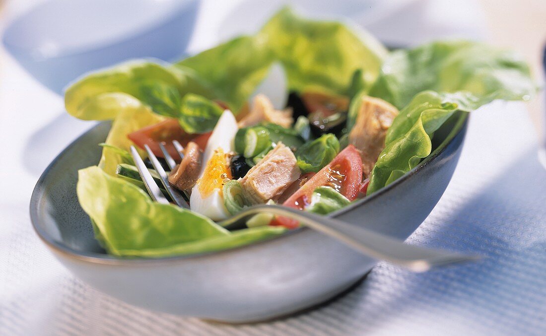 Salade nicoise with egg and tuna