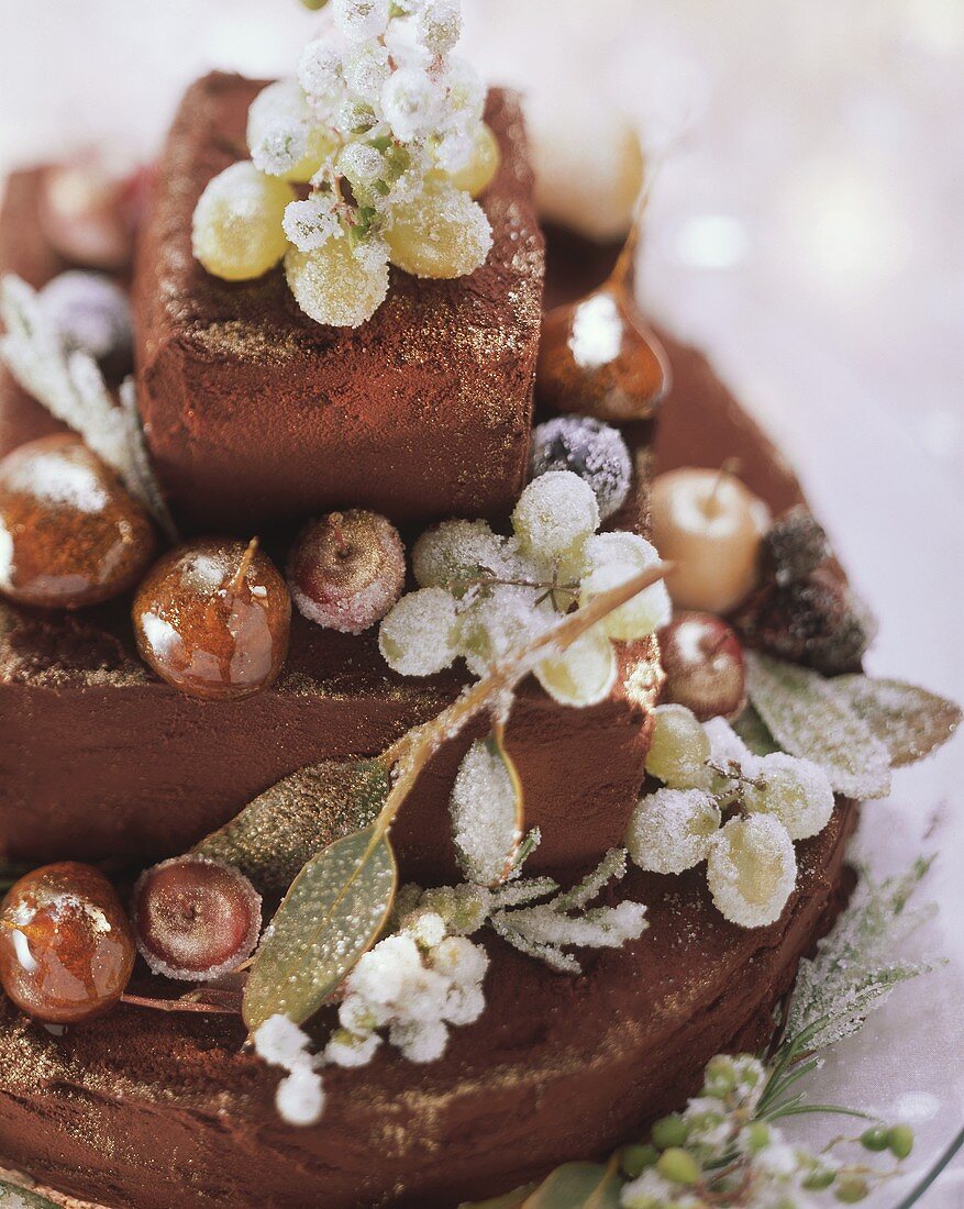 Chestnut cake with frosted fruit