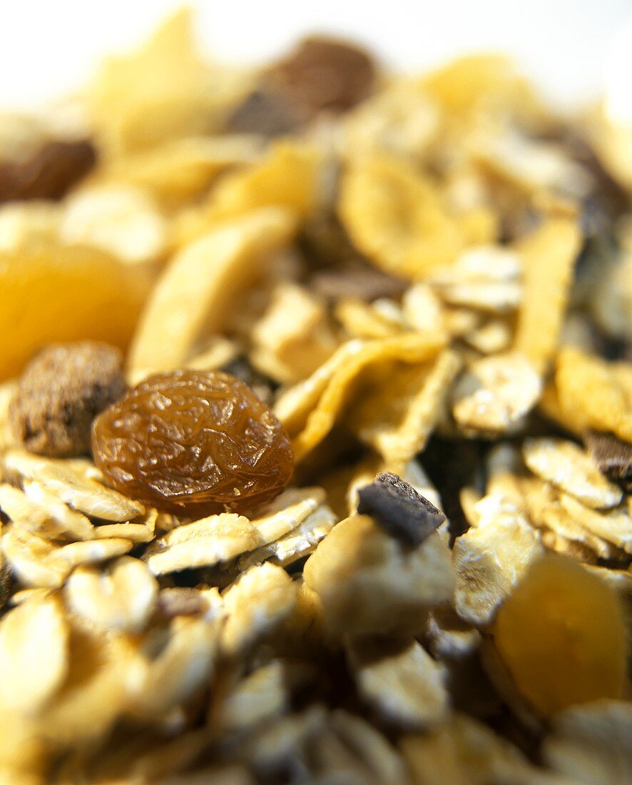 Muesli with oat flakes and dried fruit