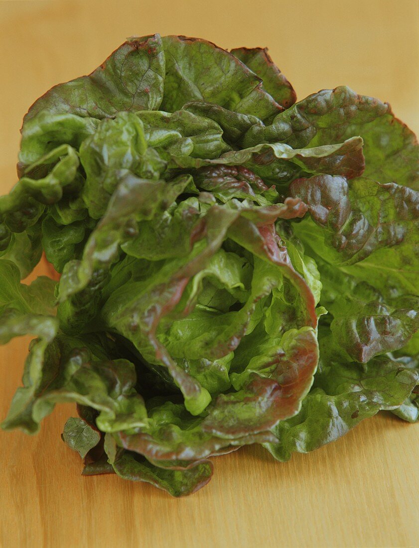 Batavia lettuce