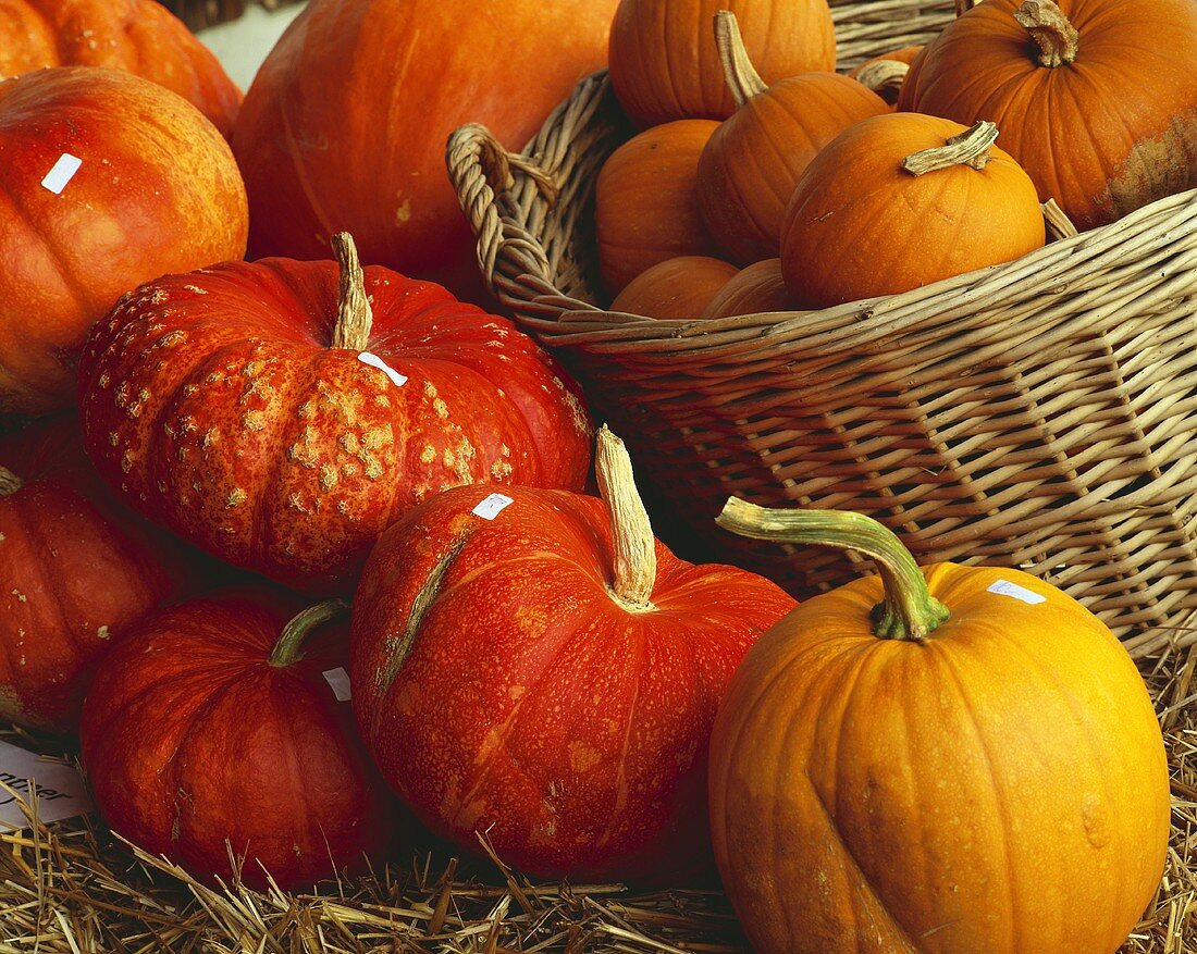 Pumpkins in and beside a basket