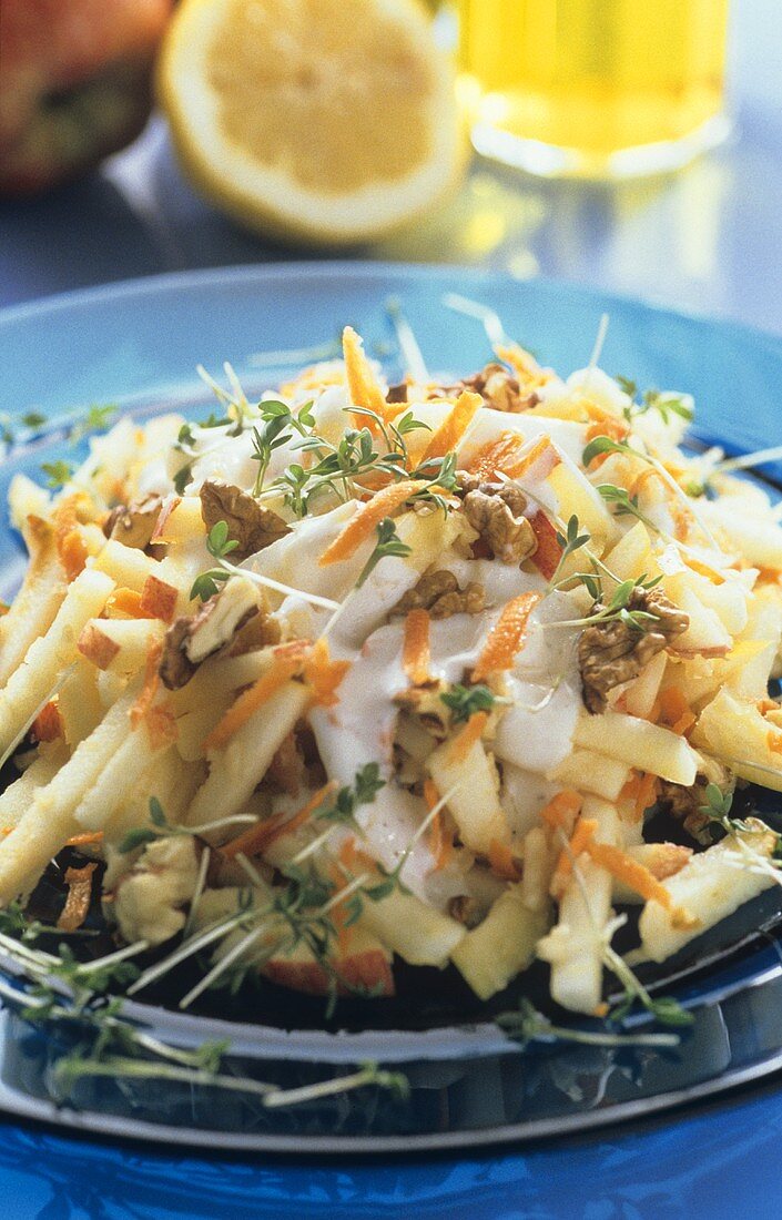 Apple, celery and carrot salad with nuts and cress