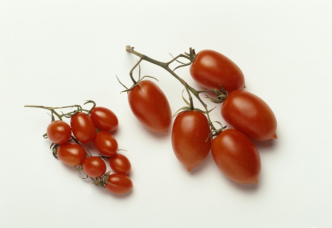 Plum tomatoes (longish vine tomatoes)