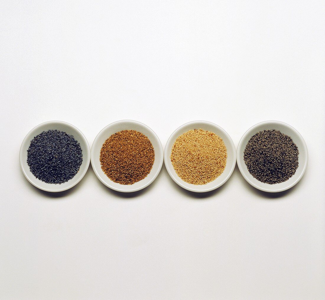 Four types of poppy seed in bowls