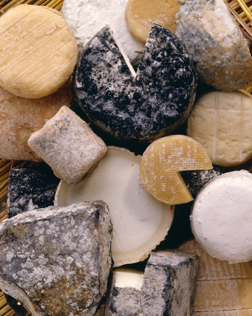 Many different types of goat's cheese