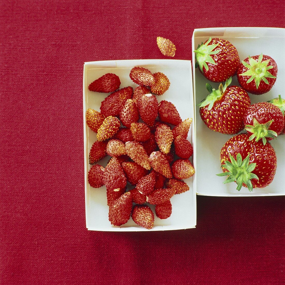 Strawberries and wild strawberries in punnets