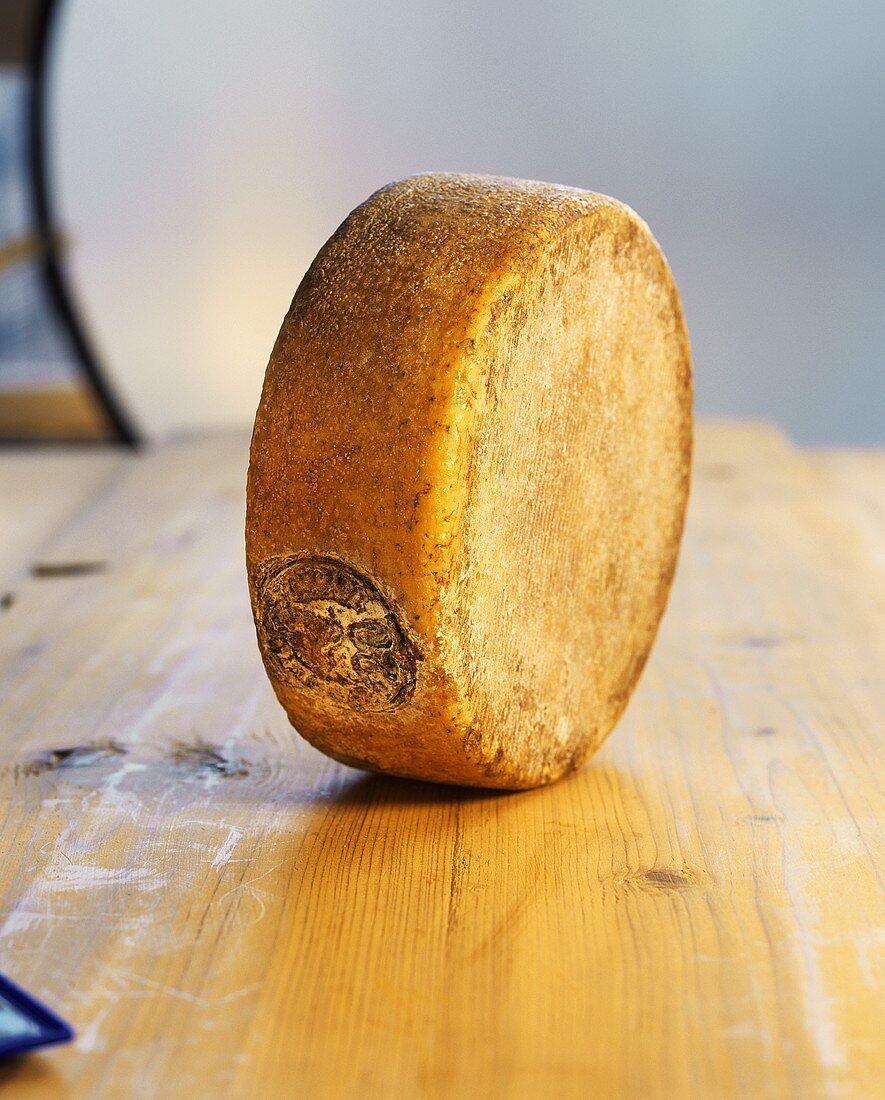 A Pecorino cheese