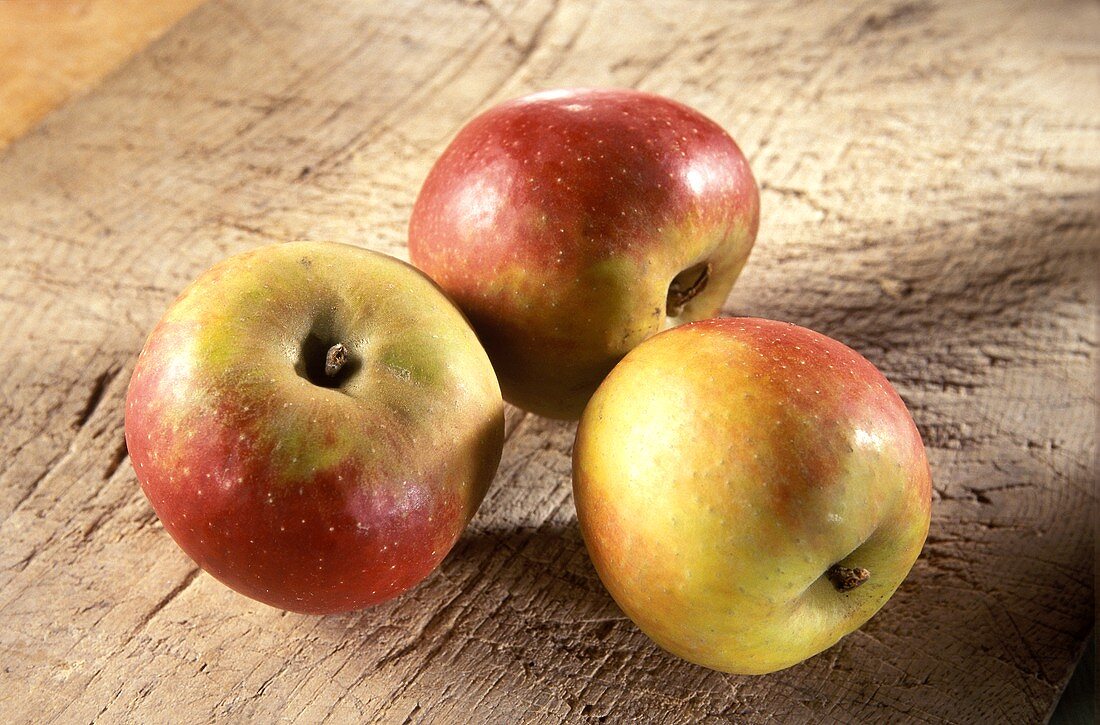 Three Boskop apples