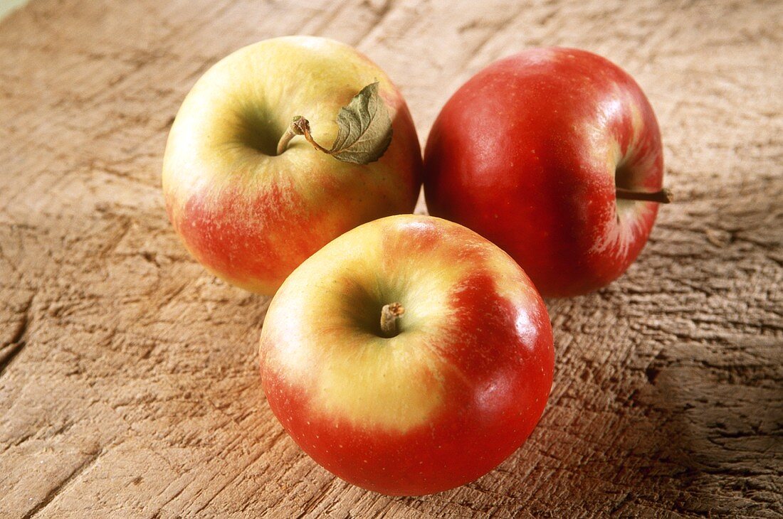 Drei Elstar Äpfel