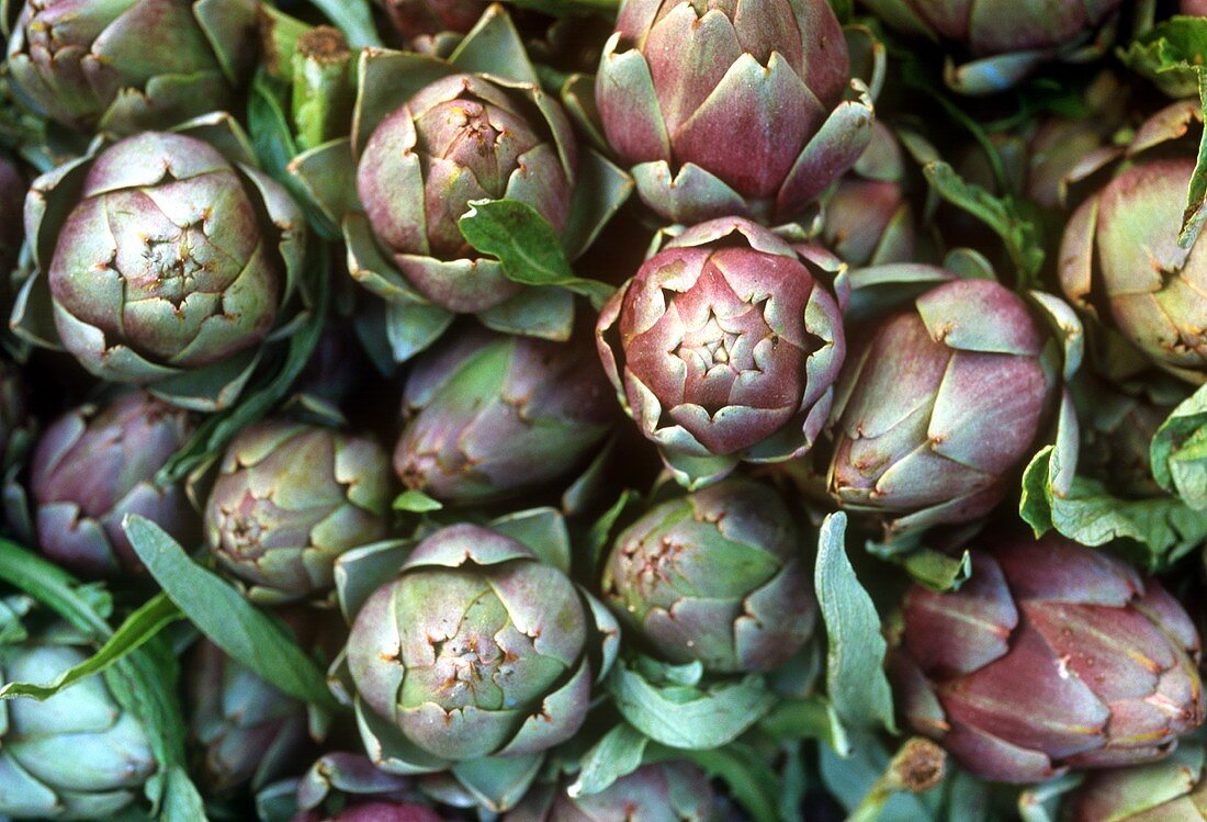 Artichokes (filling the picture)