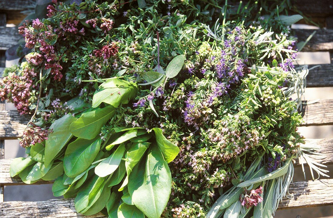 Various fresh garden herbs