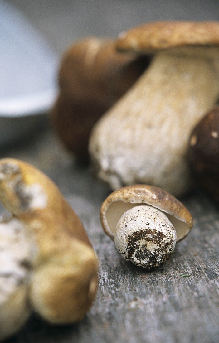 Ceps on wooden background