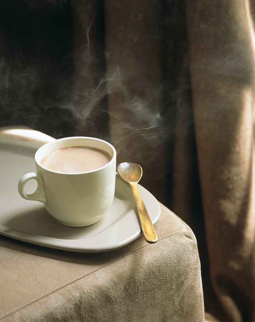 Steaming cocoa in white cup