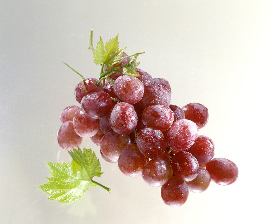 A Bunch of Red Grapes with Drops of Water