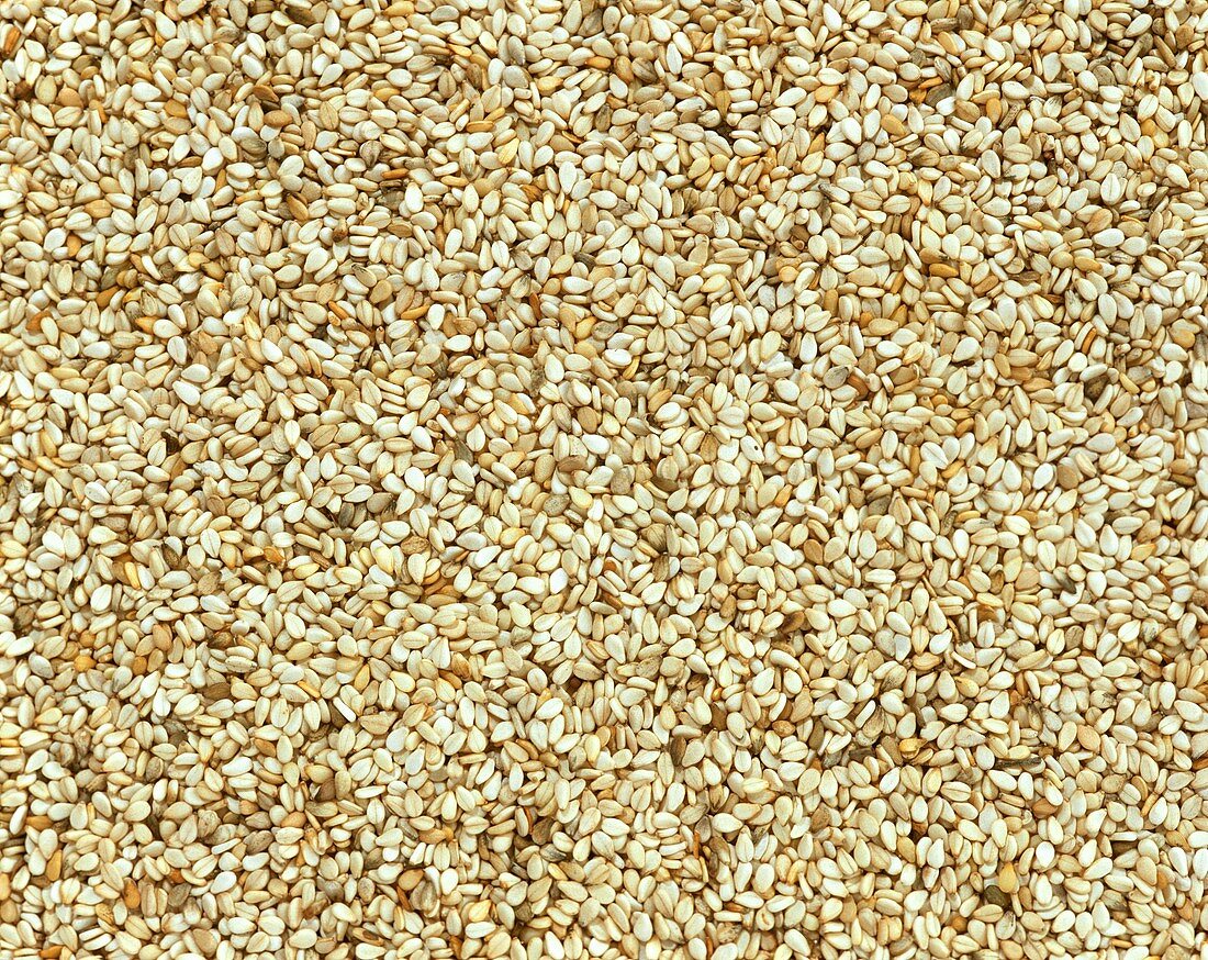 Sesame seeds (filling the picture)