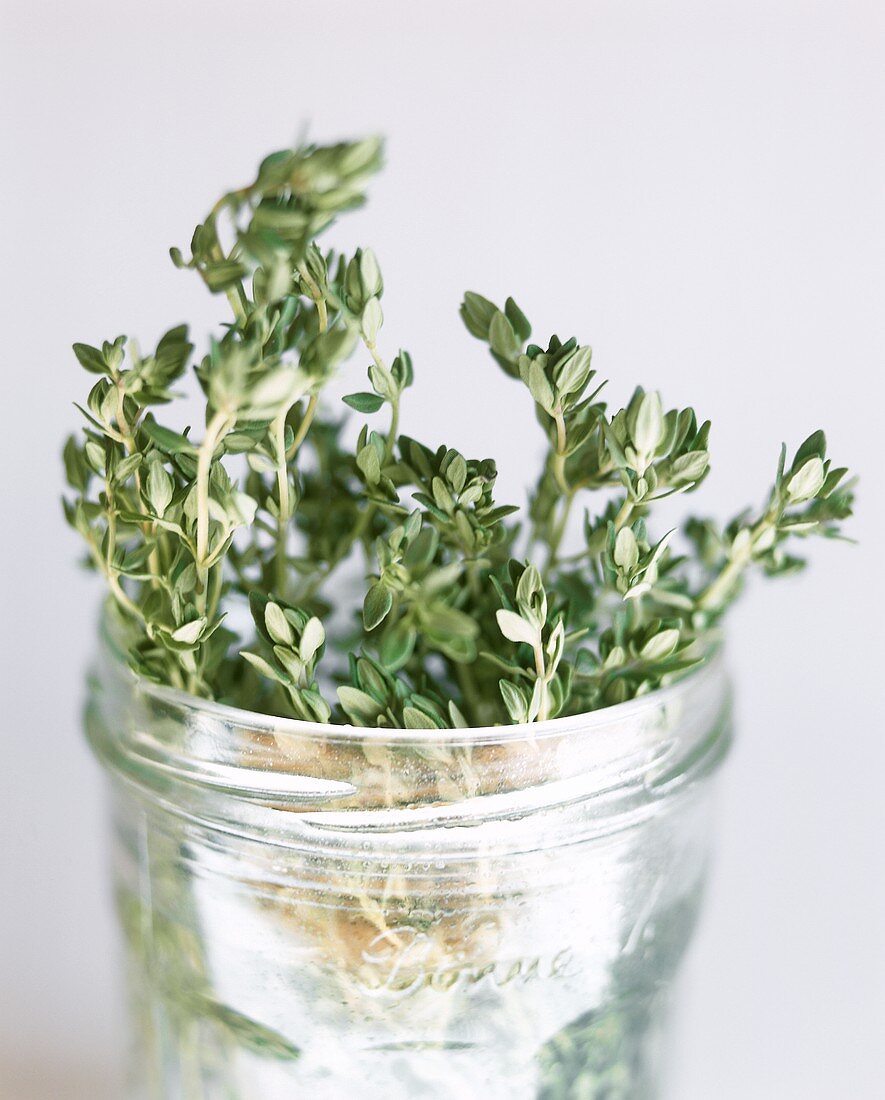 Fresh thyme in glass