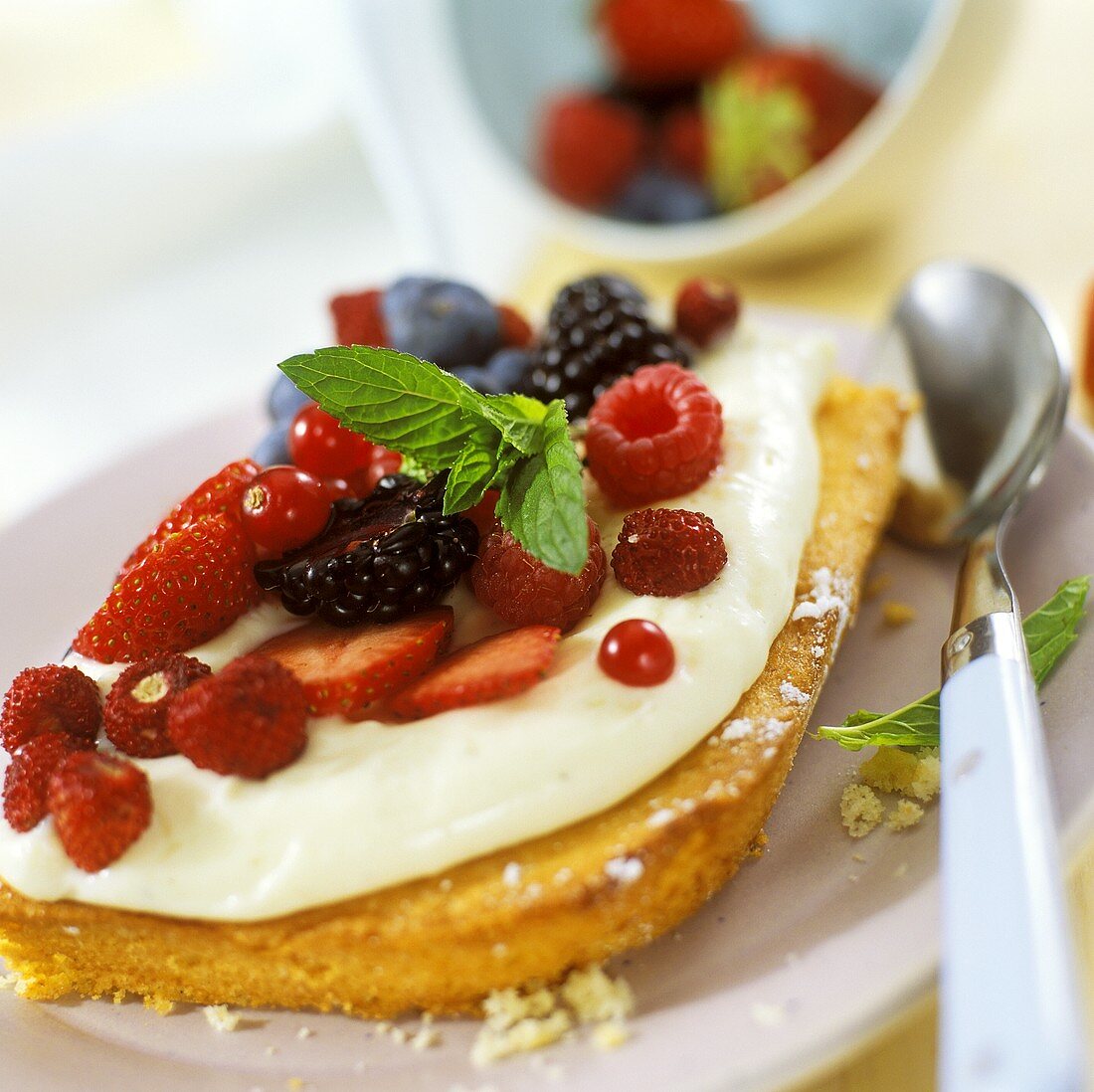 Piece of berry cake with vanilla cream