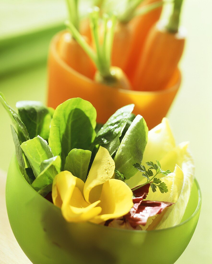 Spinach, chicory, edible flowers and carrots in coloured bowls