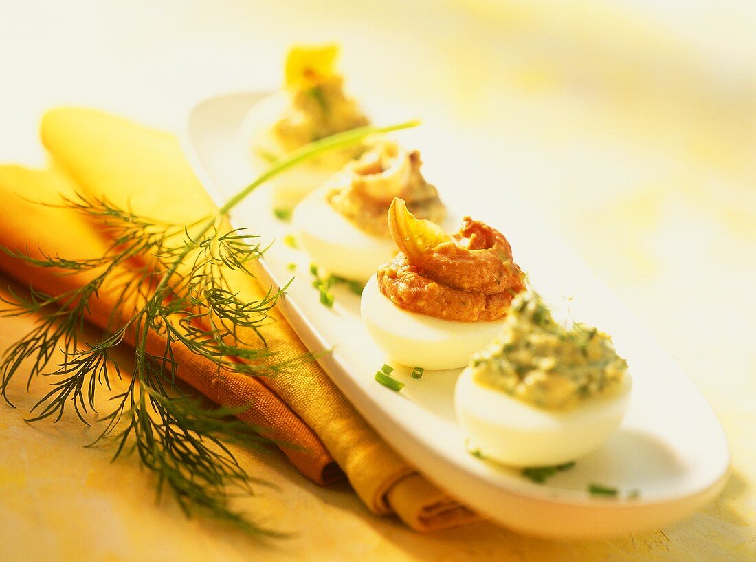 Stuffed eggs, garnished with sprig of dill