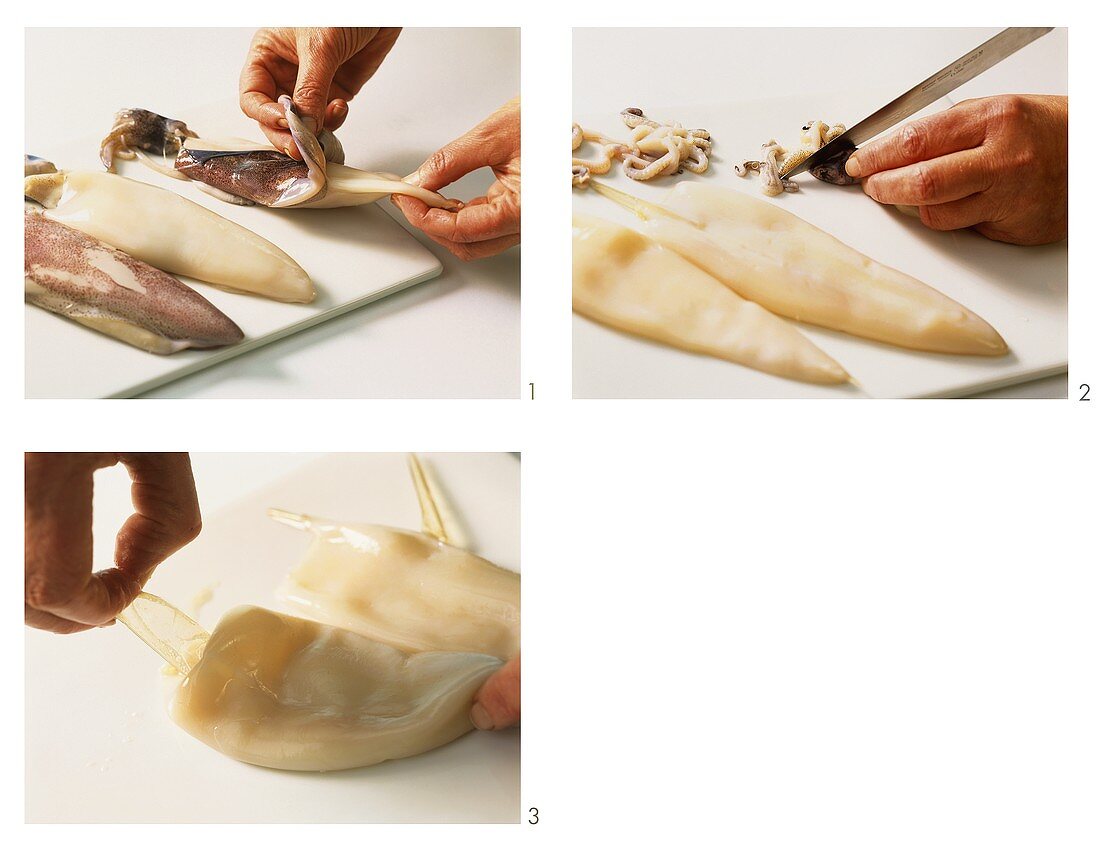 Preparing cuttlefish or squid