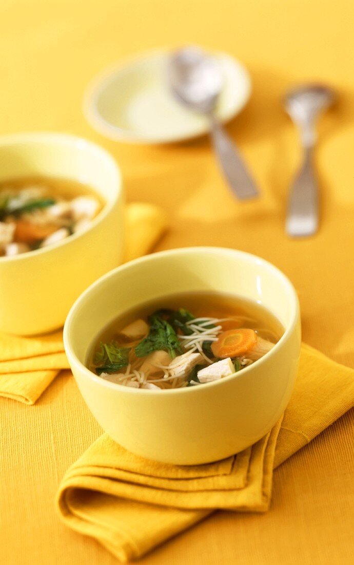 Chicken soup with spinach, carrots and noodles