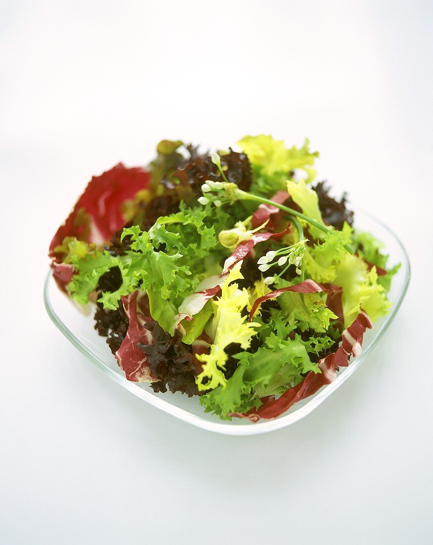 Gemischter Blattsalat auf Glasteller