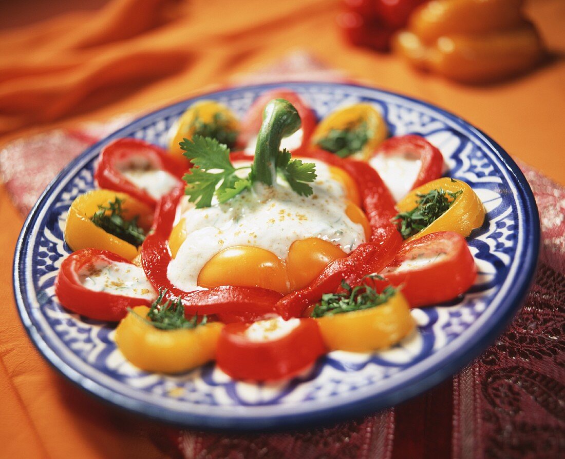 Moroccan pepper salad with yoghurt dressing