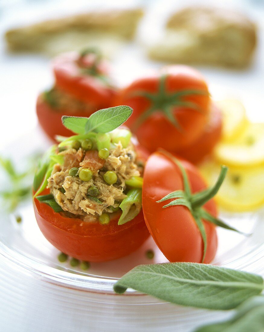 Stuffed tomatoes with tuna and green pepper