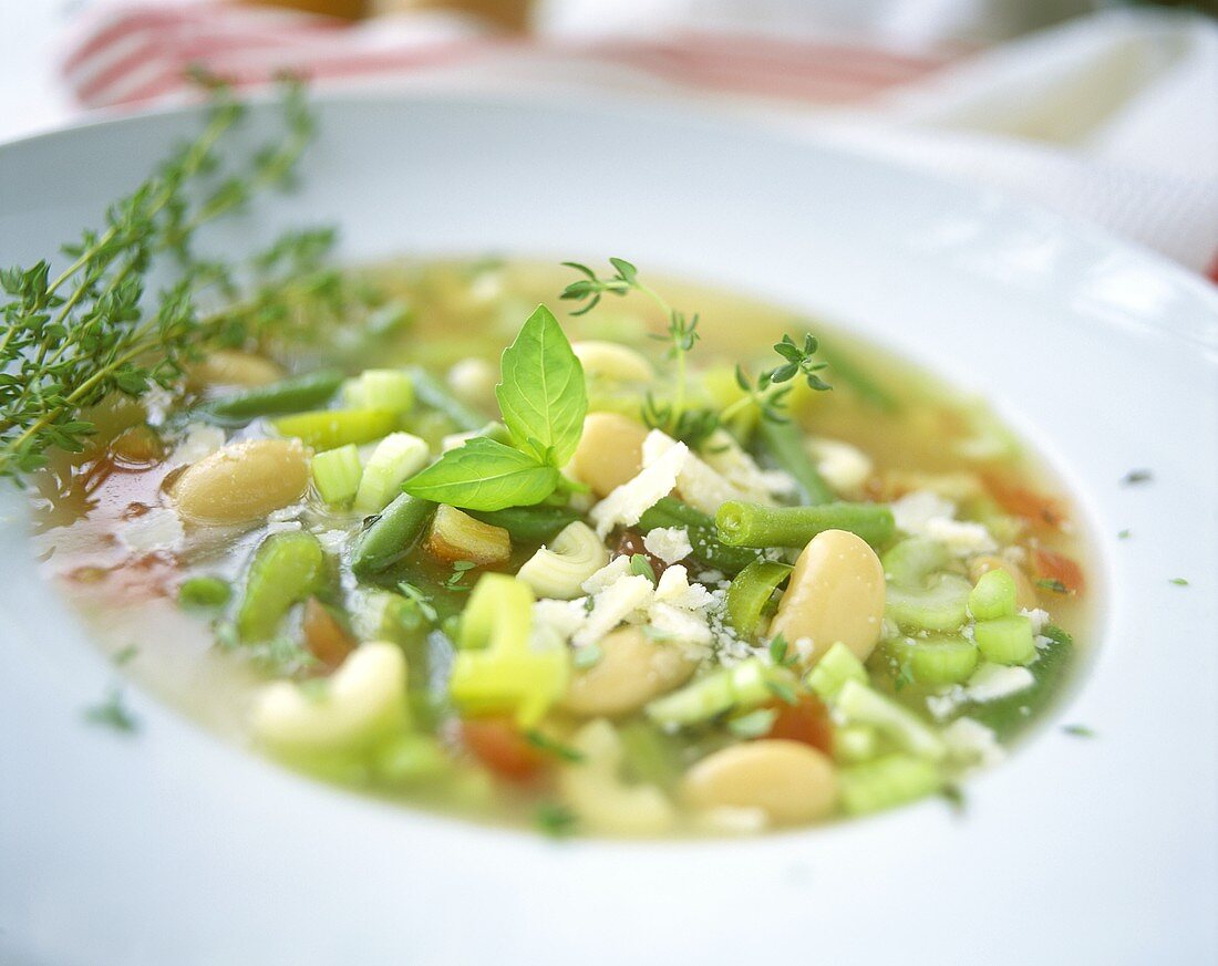 Minestrone (vegetable soup with elbow pasta, Italy)