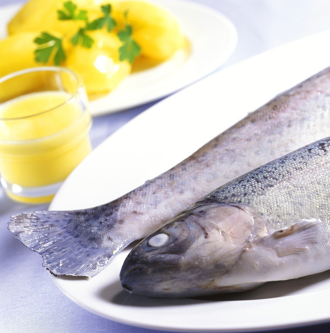 Trout cooked blue with lemon butter and boiled potatoes