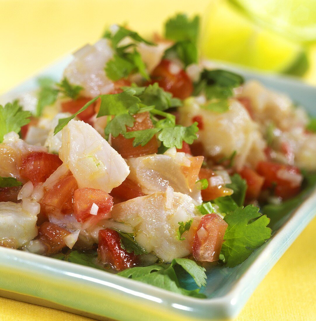 Ceviche: marinated fish fillet with tomatoes and parsley