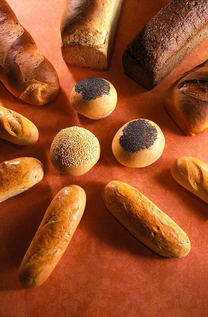 Various Scandinavian breads and rolls