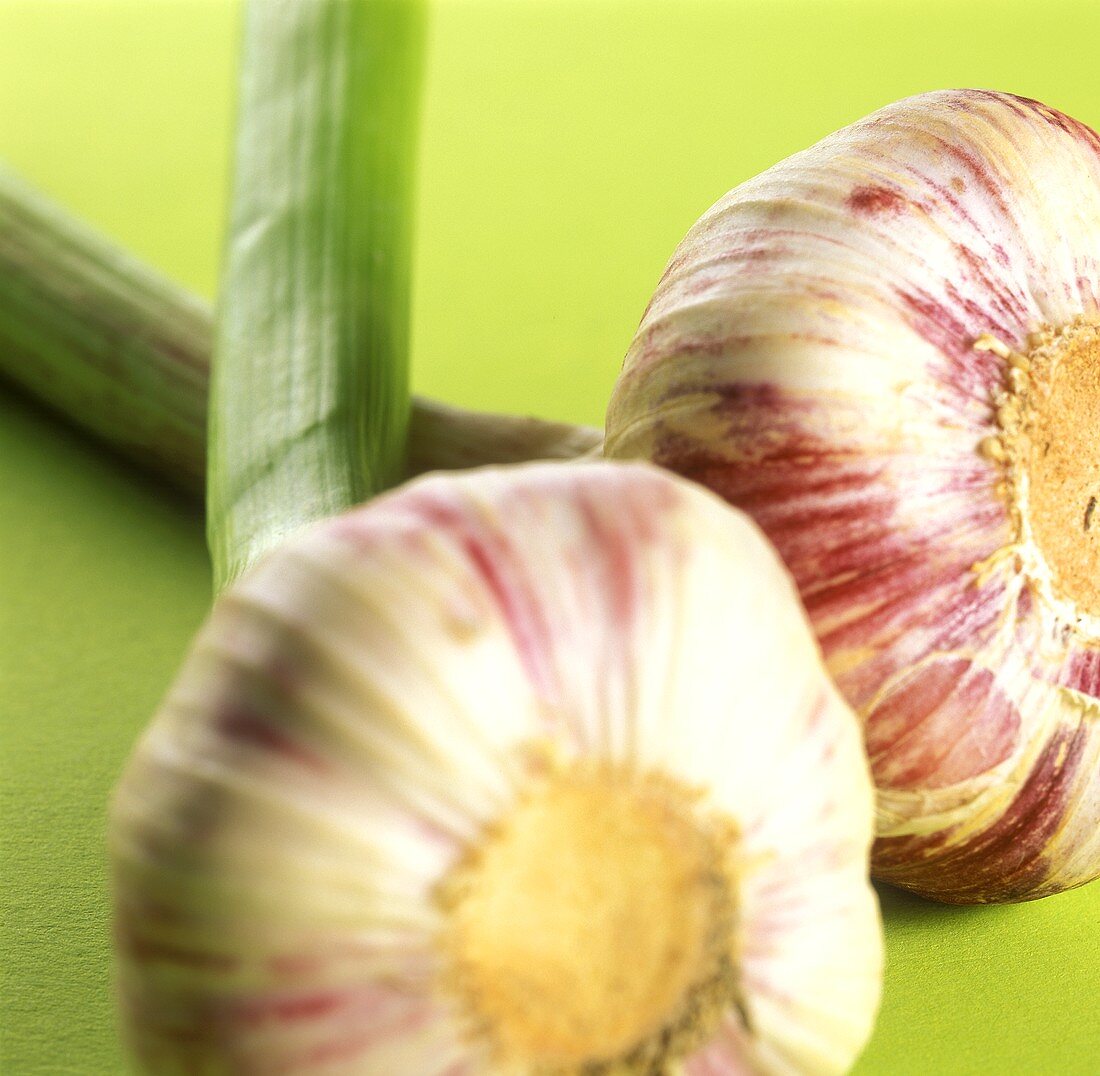 Garlic on green background