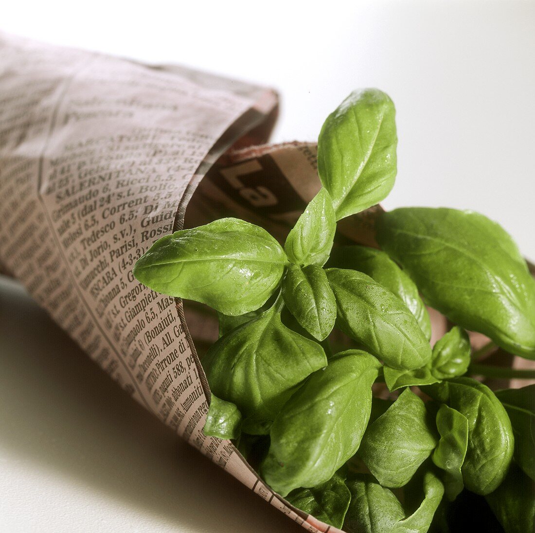 Fresh basil in newspaper