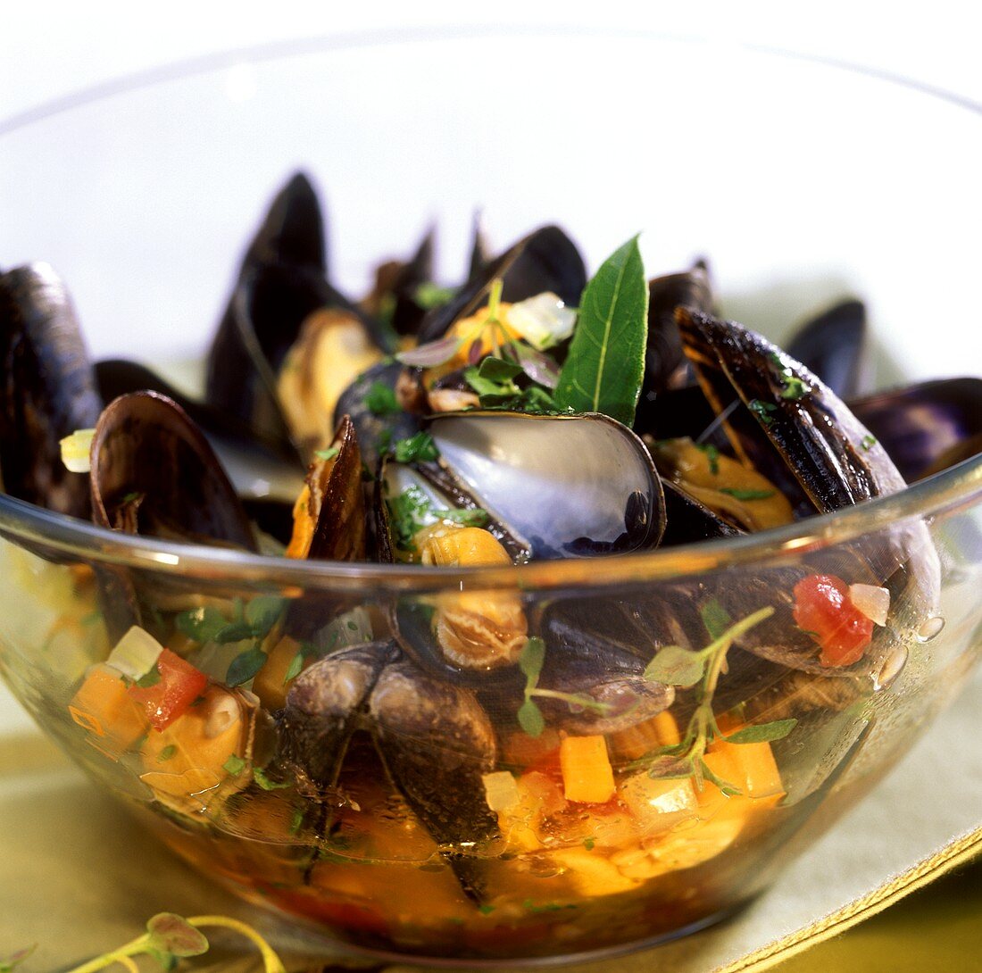 Cozze al vino bianco (Miesmuscheln im Weissweinsud, Italien)