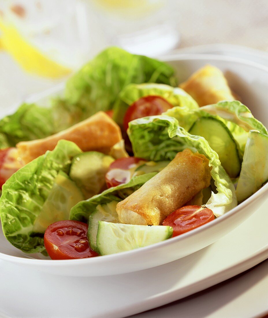 Salad with cucumber, tomato and spring rolls
