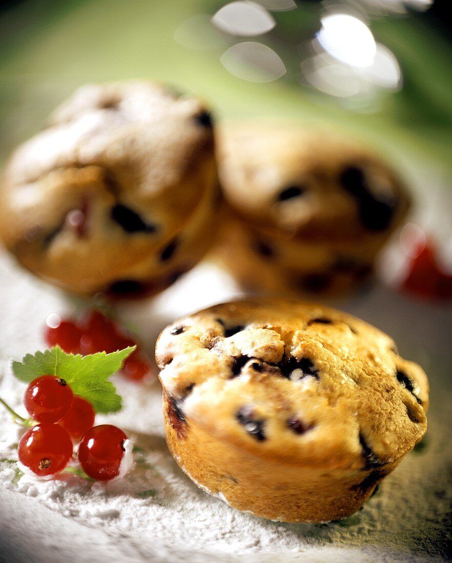 Muffins with blueberries and redcurrants