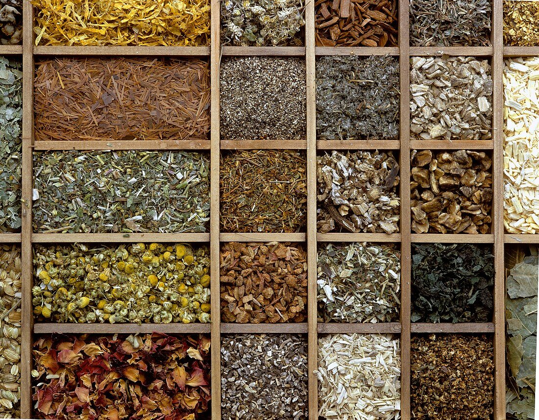 Various dried medicinal herbs in typesetter's case