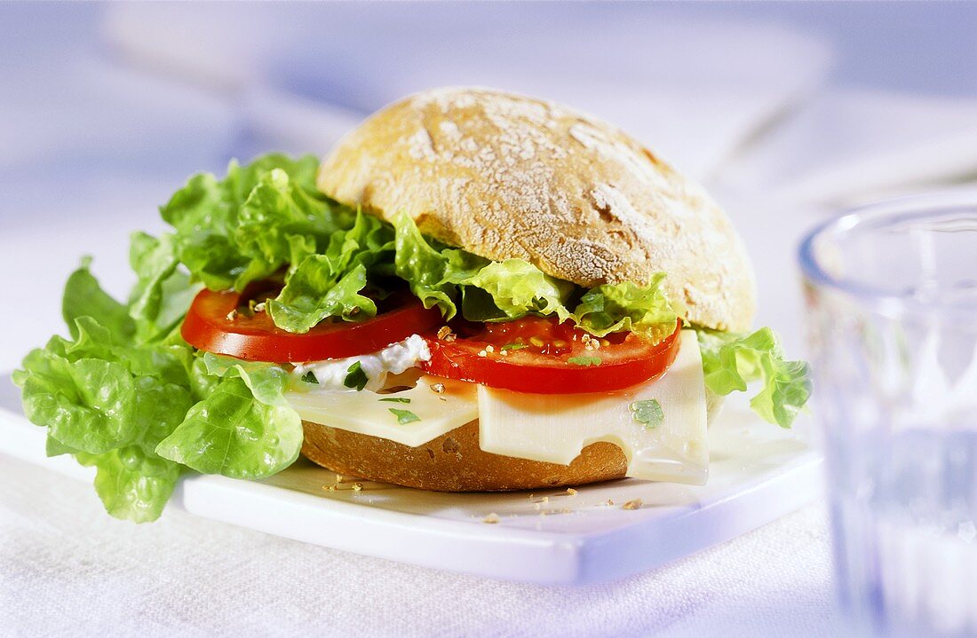 Filled roll with tomatoes, cheese and lettuce leaf