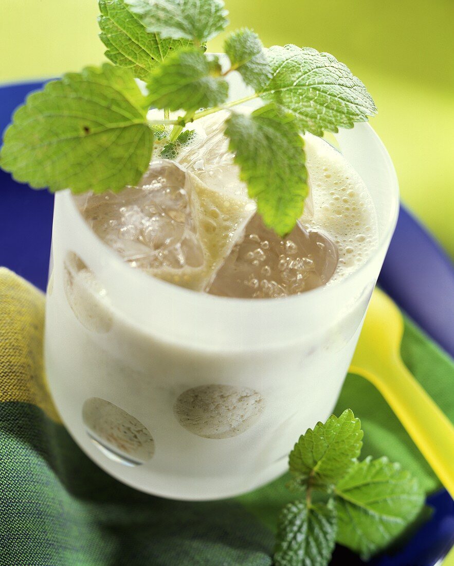 Soja-Cocktail mit Zitronenmelisse und Eiswürfeln