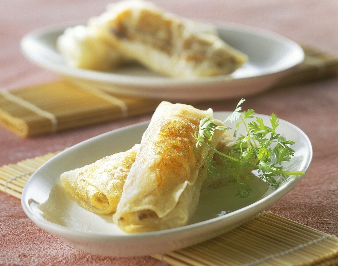 Mini spring rolls on two plates